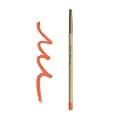 Jerome Alexander Define Collection Lip Pencil (Orange) Beauty & Personal Care Jerome Alexander