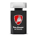 TORINO LAMBORGHINI Eau De Toilette Spray, Intense, 4.2 Fluid Ounce Beauty & Personal Care Tonino Lamborghini Golf