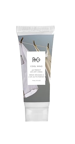 R+Co Cool Wind pH Perfect Air Dry Creme Deluxe | Air Dry Styler Tames Frizz + Hydrates | Vegan + Cruelty-Free | 0.5 Oz Beauty & Personal Care R+Co