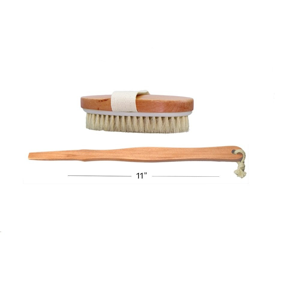 Dry Skin Body Brush 16"- Natural Bristle - For Dry Brushing - Detachable Handle -Removes Dead Skin & Toxins, Helps Cellulite, Lymphatic Functions Beauty & Personal Care Wholesome Beauty