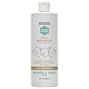 DHS Zinc Shampoo - Dandruff Shampoo - for Flaky and Dry Scalp with 2% Zinc Pyrithione, 16 oz Beauty & Personal Care DHS