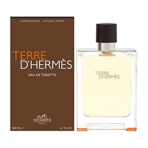 Terre D'Hermes by Hermes for Men 6.7 oz oz Eau de Toilette Spray Beauty & Personal Care Hermès