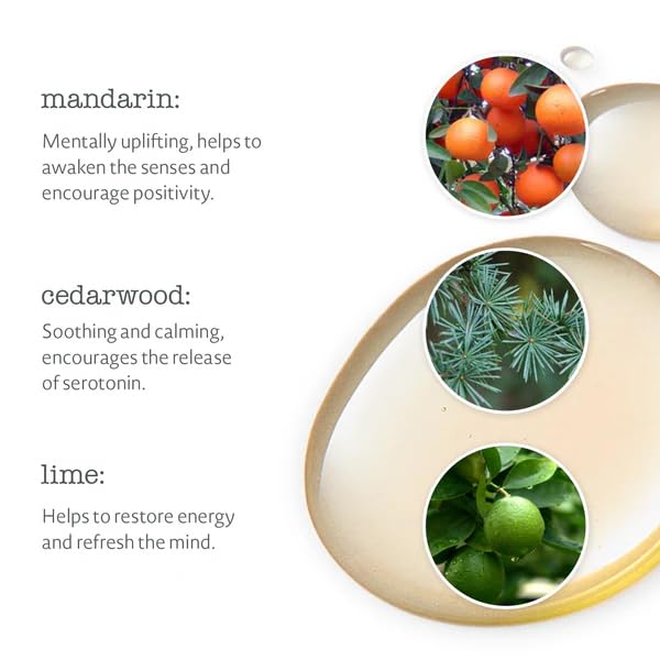 Elemental Herbology Harmony Bath & Body Oil 5.0 fl oz- Balancing Aromatherapy Oil with Mandarin, Cedarwood & Lime - Reduces Stress, Restores Emotional Beauty and Personal Care Elemental Herbology