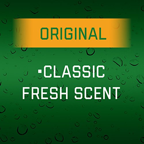 Irish Spring Body Wash, Original, 18 Fl Oz (Pack of 1) Beauty & Personal Care Irish Spring