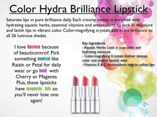 Beauticontrol Hydra Brilliance Lipstick (Lot of 2 CRIMSON) Magnetic Closure New in Box Beauty & Personal Care BeautiControl