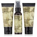 Wen Sweet Almond Mint Cleansing Conditioner Travel Kit w/Replenishing Treatment Mist Beauty & Personal Care Chaz Dean Studio