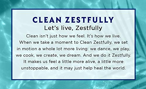 Zest Bath Bars Soap 4oz 8ct Aqua 2-Pack Beauty & Personal Care Zest