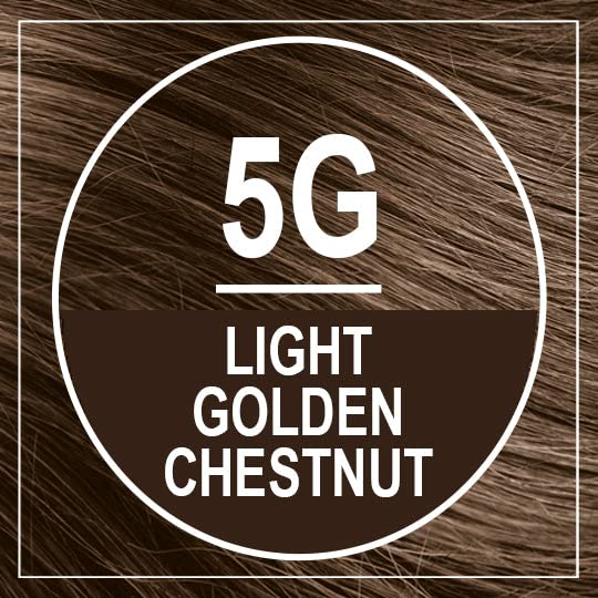 Naturtint Permanent Permanent Hair Colors Light Golden Chestnut (5G) 5.28 oz Beauty & Personal Care Naturtint