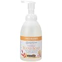Ginger Lily Farms Botanicals All-Purpose Foaming Hand Soap Refill, Coco Mango, 100% Vegan & Cruelty-Free, Coconut Mango Scent, 20 Fl Oz (Pack of 1) Beauty & Personal Care Ginger Lily Farms
