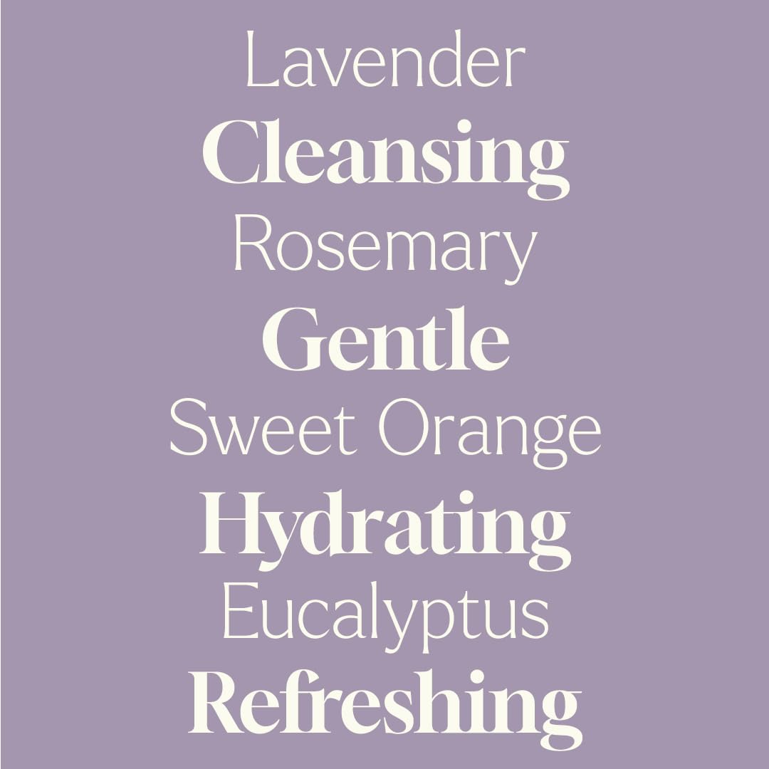 Plant Therapy Home Lavender Rosemary Foaming Hand Soap Refill 32 oz, Refreshing & Natural Herbal Scent, Gentle Plant-Based Ingredients, Enough Beauty & Personal Care Plant Therapy