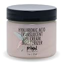 Primal Elements Hyaluronic Acid Gel Cream Moisturizer, 6 Ounce Beauty & Personal Care Primal Elements