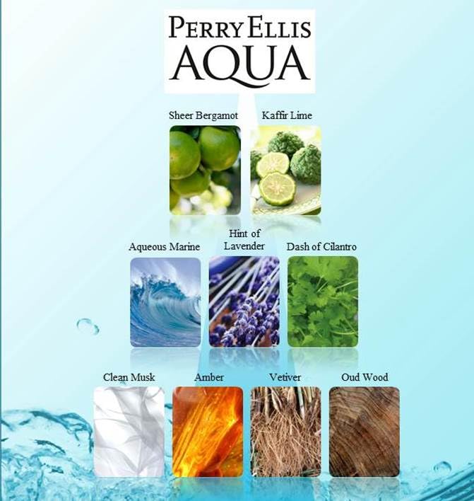 Perry Ellis Aqua for Men 4-Piece Gift Set Beauty & Personal Care Perry Ellis