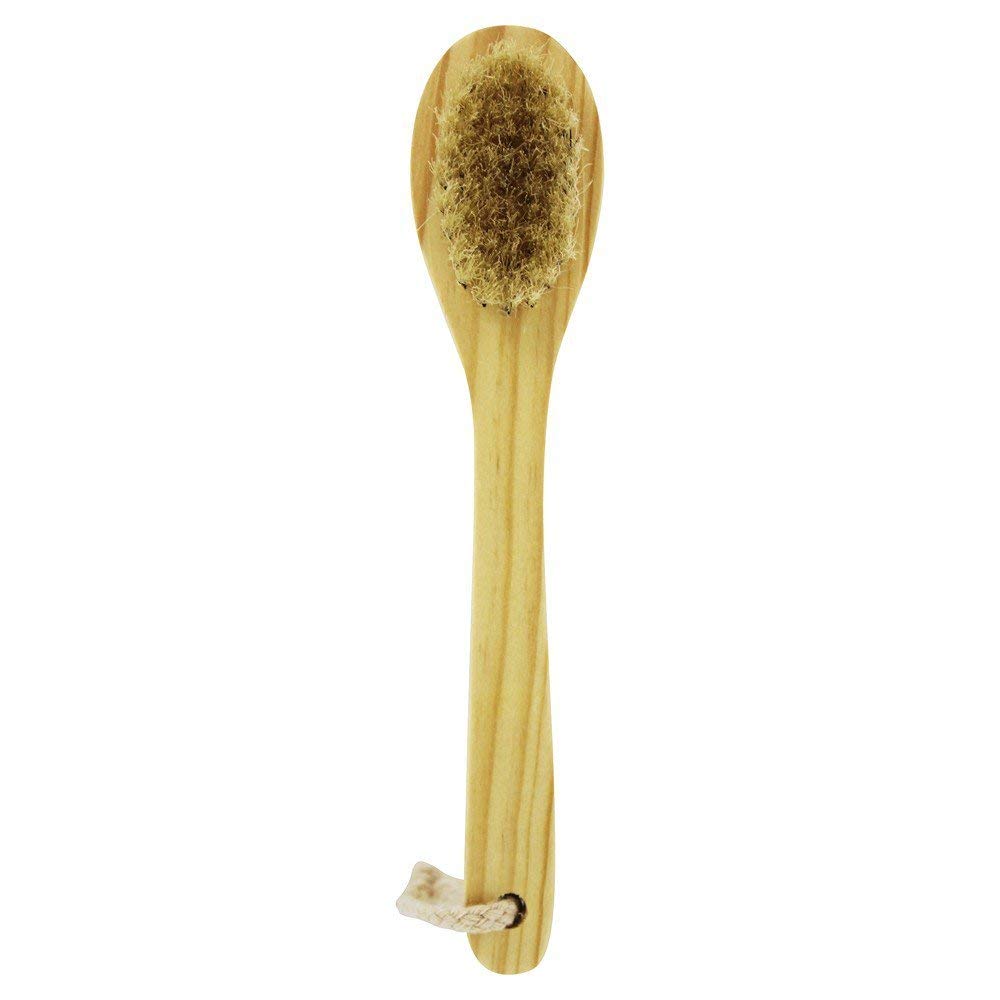 BAUDELAIRE Baudelaire cedar complexion brush, 1 ea Beauty and Personal Care Baudelaire