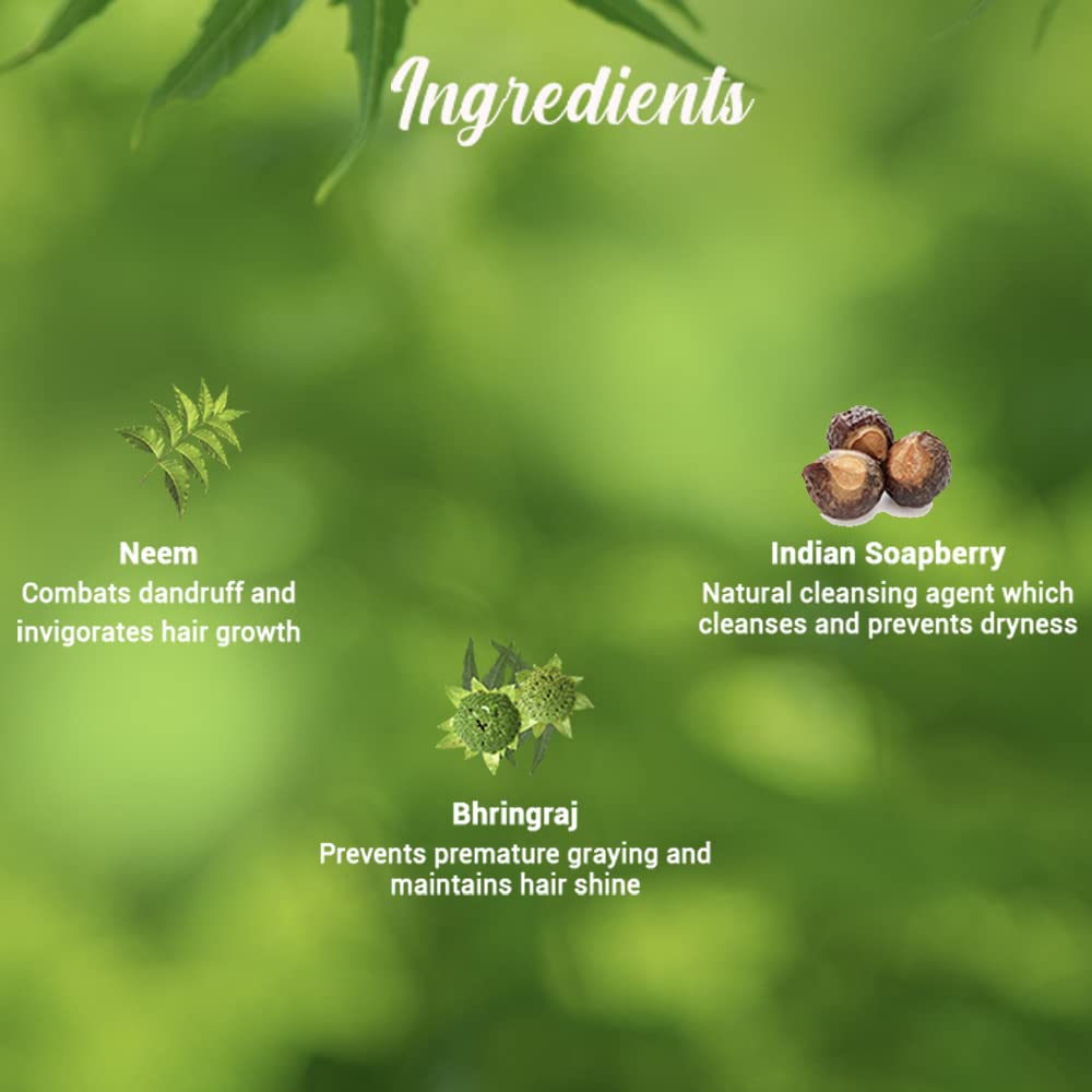 Fresh neem anti dandruff shampoo & conditioner Beauty & Personal Care Biotique