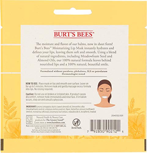 Burt's Bees Moisturizing Lip Mask for Women, 0.02 Ounce Beauty & Personal Care Burt's Bees