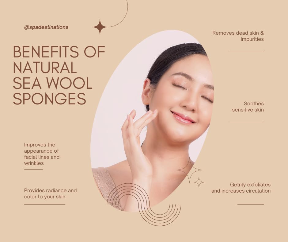Facial Sea Wool Sponge 2-3" (3) Pack by Spa Destinations Beauty and Personal Care Spa Destinations
