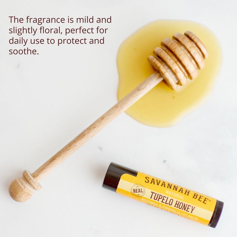 Savannah Bee Company Natural - Tupelo Honey Beeswax Lip Balm, 0.15-Ounce (Pack of 4) Beauty and Personal Care Savannah Bee Company