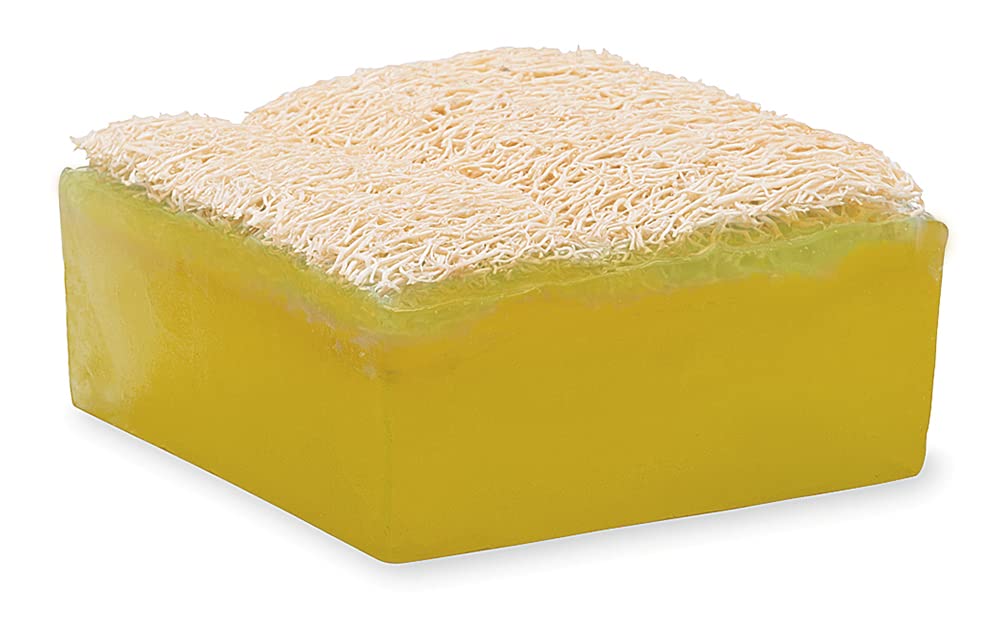 Primal Elements Tahitian Vanilla Loofah Bar Soap, 5 Ounce Beauty & Personal Care Primal Elements