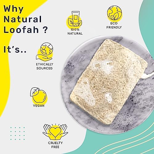 awenest Natural Sun Dried Bath Loofah - Body Sponge and Scrubber for Men and Women - Eco-Friendly - Biodegradable - Organic Exfoliating Luffa Scrubber Beauty and Personal Care awenest
