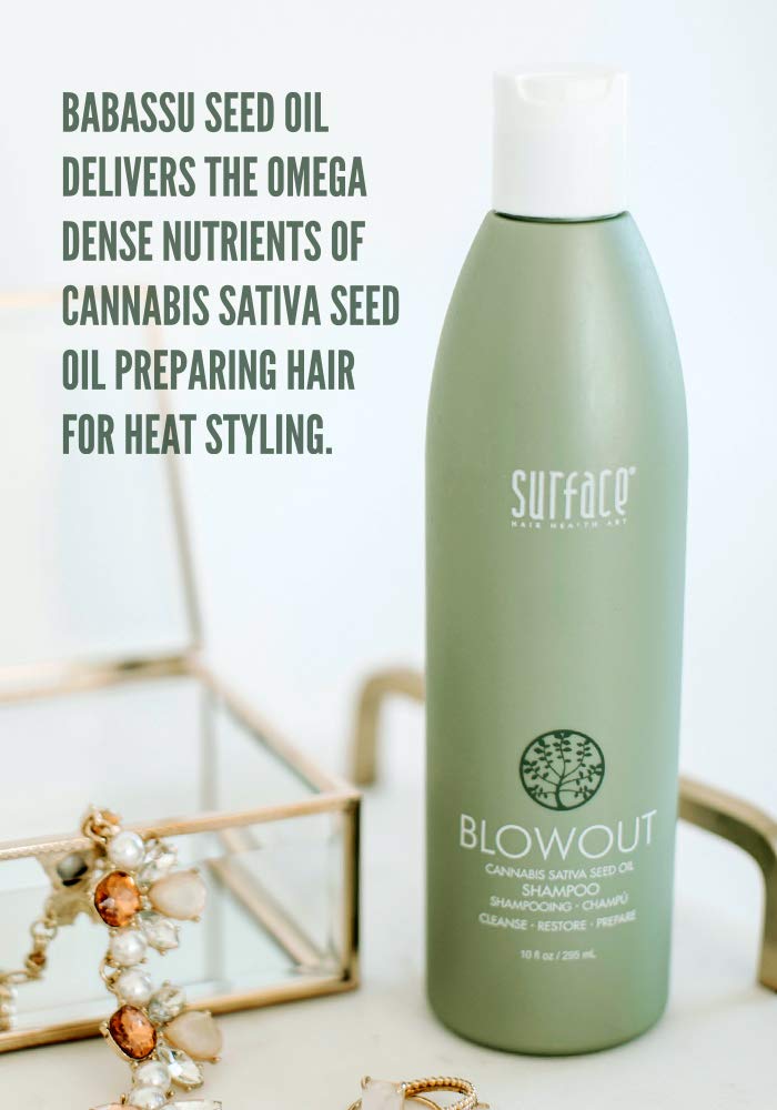 Surface Hair - Blowout Shampoo - Organic Shampoo for Women and Men, Heat-Resistant with Babassu Oil for Longer Lasting Blowouts - 10 fl oz Beauty & Personal Care SURFACE