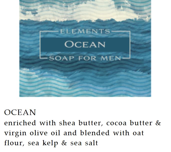 Greenwich Bay Trading Co. Elements Ocean Soap for Men, 8.6 oz Bars, Set of 2 Beauty & Personal Care Greenwich Bay
