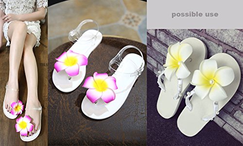 2.5" Hawaiian Hair Flower Clip Hair Barrettes for Women.Hair Buckle 4 Moana Luau Hawaiian Dresses for Women-6pc Hair Clips for Thin Hair,Hair Clips Beauty & Personal Care HipGirl