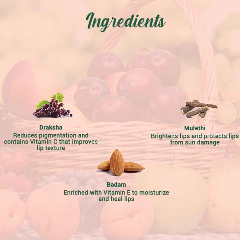 Biotique Bio Fruit Lip Balm, 12 gm Beauty and Personal Care Biotique