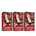 Revlon Permanent Hair Color, Permanent Hair Dye, Colorsilk with 100% Gray Coverage, Ammonia-Free, Keratin and Amino Acids, 55 Light Reddish Brown, 4.4 Beauty & Personal Care REVLON