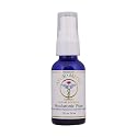 Ayur-Medic Hyaluronic Pure (1 fl. oz.) Beauty & Personal Care AYUR MEDIC NATURE & SCIENCE