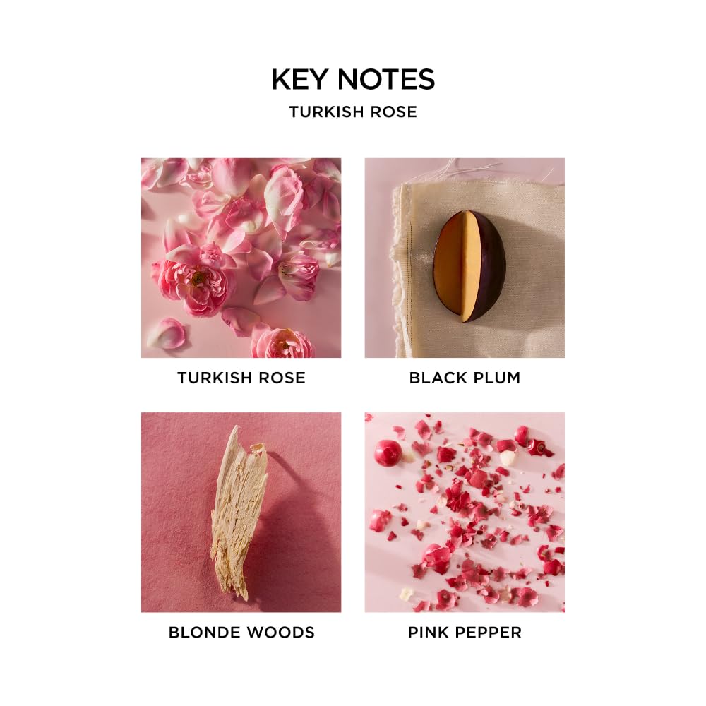 NEST New York Perfume Oil Discovery Set - Includes Balinese Coconut, Turkish Rose, Seville Orange, Indian Jasmine & Madagascar Vanilla - Vegan Beauty & Personal Care NEST New York