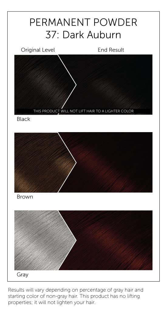 #37 Dark Auburn Bigen Permanent Powder - 6 Pack Beauty & Personal Care Bigen