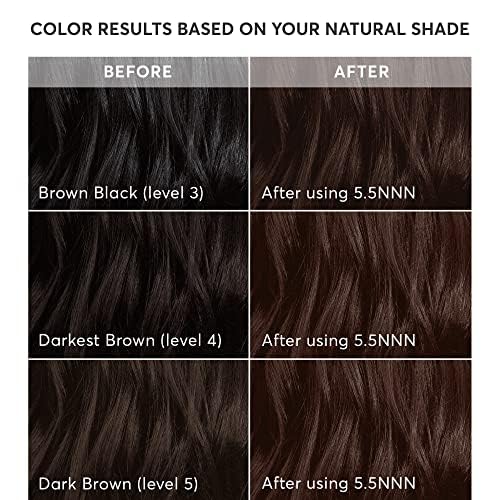 Madison Reed Radiant Hair Color Kit - 100% Gray Coverage for Resistant Grays, 5.5NNN Dark Brown with Warm Golden Tones (Modena Brown) | PPD-Free Beauty & Personal Care Madison Reed