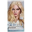 L'Oreal Paris Feria Permanent Hair Color, 36 Chocolate Cherry (Deep Burgundy Brown) Beauty & Personal Care L'Oreal Paris