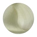 StarGazer Semi Permanent Hair Color - WHITE - Amonia Free Hair Dye Includes Gloves Beauty & Personal Care Stargazer Enterprises
