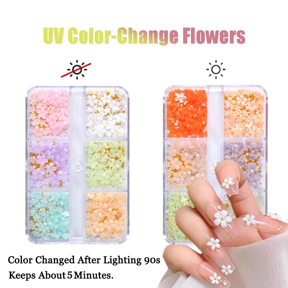 3D Flower Nail Charms, 2 Boxes 3D Acrylic Flower Nail Art Charms and Gems White Pink Mixed Cherry Blossom Spring Rhinestones Acrylic Nail Supplies Beauty & Personal Care Qdsuh
