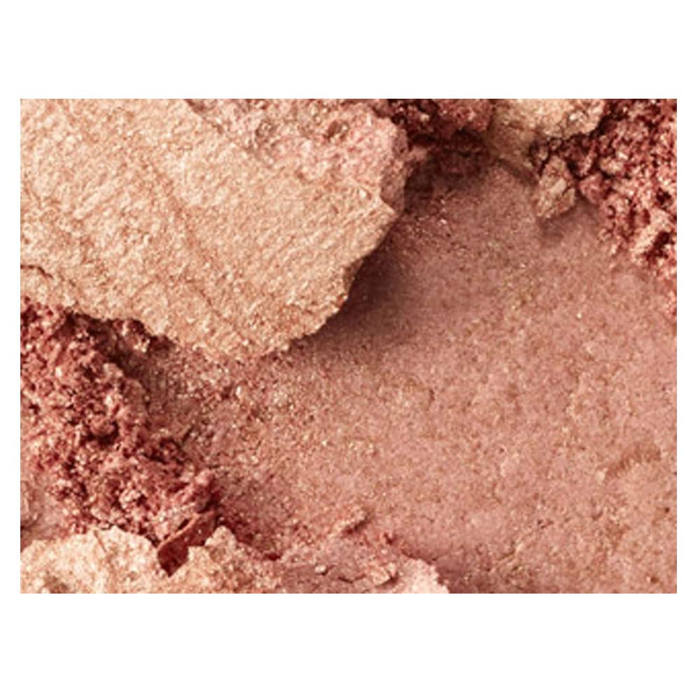 MAC Mineralize Skinfinish Cheeky Bronze, 0.35 Ounce Beauty & Personal Care MAC