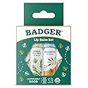 Badger Classic Organic Lip Balm Set - Green Box, Long Lasting Lip Moisturizer Gift Set, Light Silky Texture, All Natural Lip Balm Variety Pack Lip-Set Beauty & Personal Care Badger