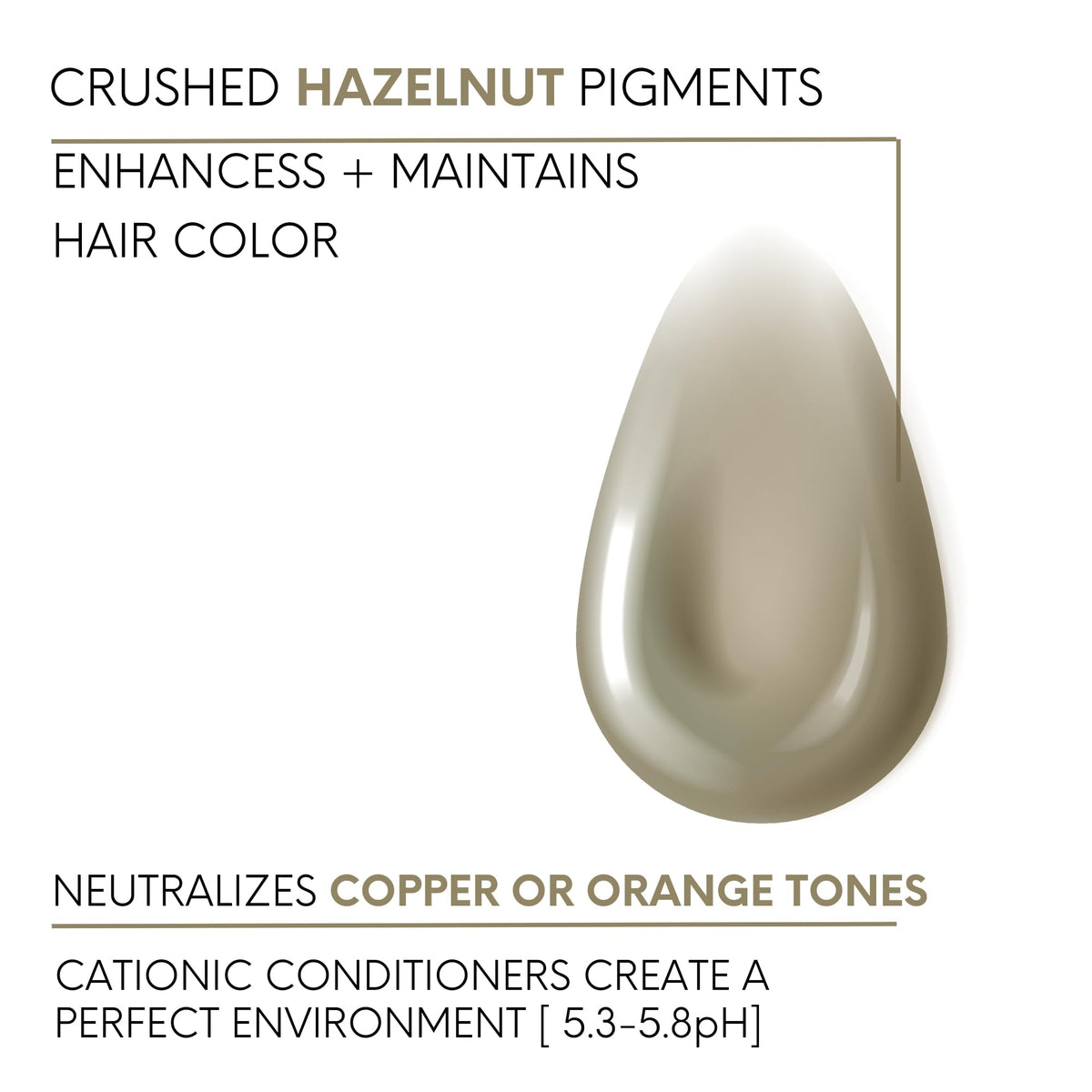 Watercolors Color Depositing Shampoo, Semi Permanent Hair Color 8.5 oz - HAZELNUT Beauty & Personal Care Watercolors