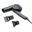Gold N Hot Professional 1875-Watt Dryer with Styling Pik (GO-GH2274) Beauty & Personal Care Gold N Hot