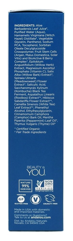 FACE PORE MINIMZR ALOE+WILLOW Beauty & Personal Care Andalou Naturals