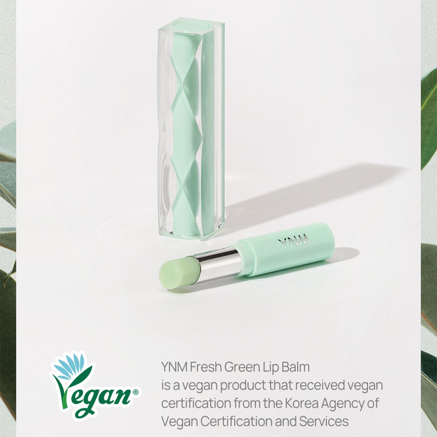 YNM Fresh Green Lip Balm Beauty and Personal Care YNM