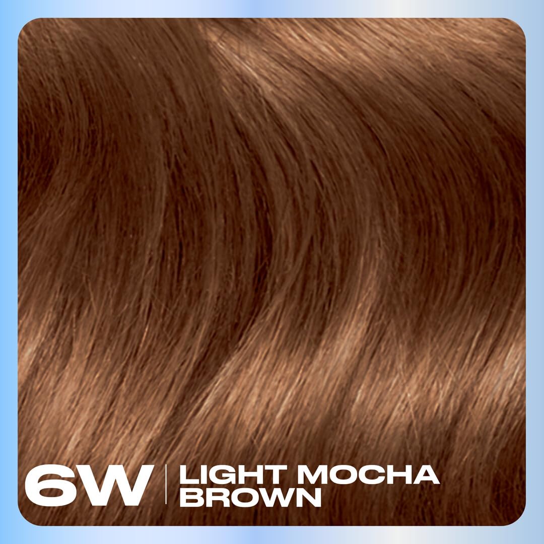 Clairol Nice'n Easy Permanent Hair Dye, 6W Light Mocha Brown | 100% Gray Coverage | Long?Lasting, Natural?Looking Color & Shine | Pack of 1 Beauty & Personal Care Clairol