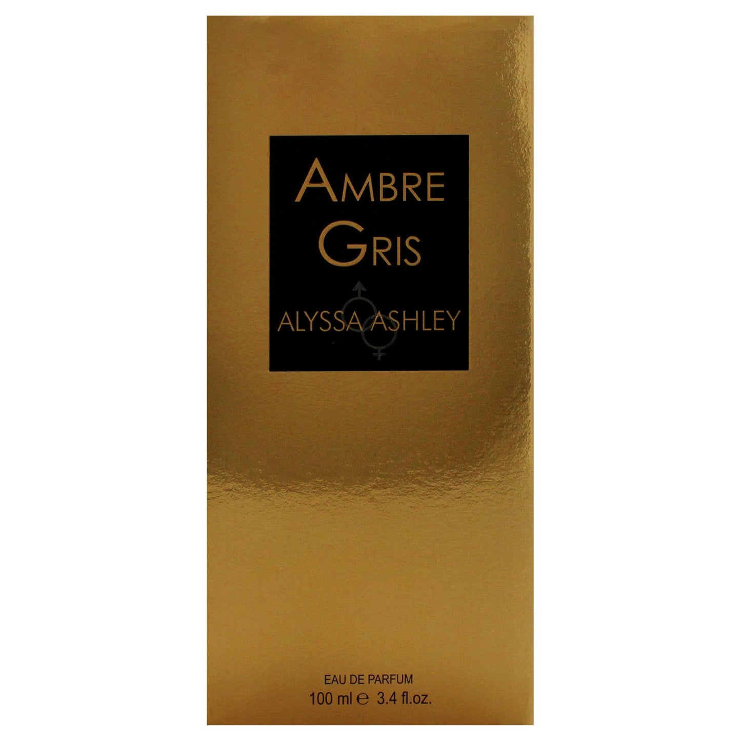 Ambre - Gris by Alyssa Ashley for Women - 3.4 oz EDP Spray Beauty & Personal Care ALYSSA ASHLEY