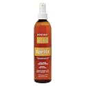 Fantasia Liquid Mousse Spritz Hair Spray Mega Hold 10.0 Fl Oz (Pack of 1) Beauty & Personal Care Fantasia