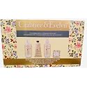 Crabtree & Evelyn Summer Hill Collection Set (Bath & Shower Gel 8.4 fl oz, Hand Therapy 3.5 oz, Body Lotion 8.4 fl oz, Bar Soap 3.5 oz) Beauty & Personal Care Crabtree & Evelyn