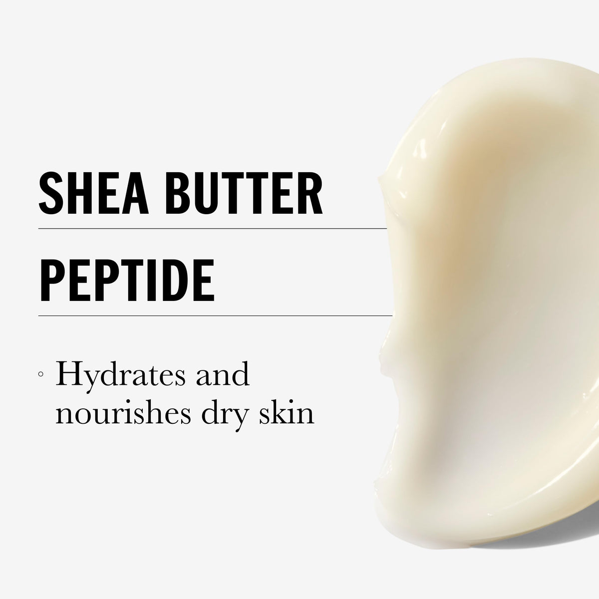 Olay Regenerist Shea Butter + Peptide 24 Rich Cream Face Moisturizer, Fragrance Free, 1.7 oz (48g) Beauty & Personal Care Olay