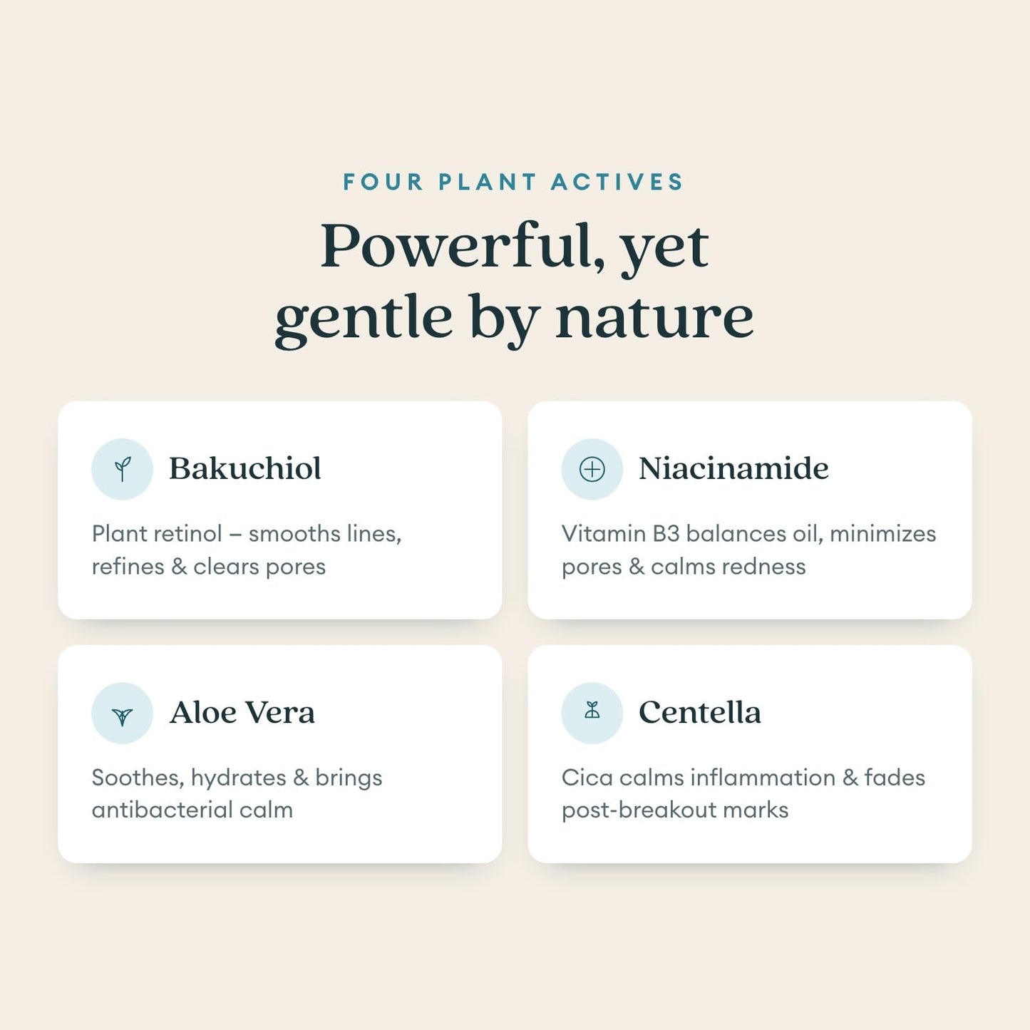 Niacinamide Serum for Face for Redness & Acne, Bakuchiol Face Serum with Aloe Vera, Hydrating Daily Serum for Oily & Combination Skin, Natural Retinol Beauty & Personal Care LUMA & LEAF