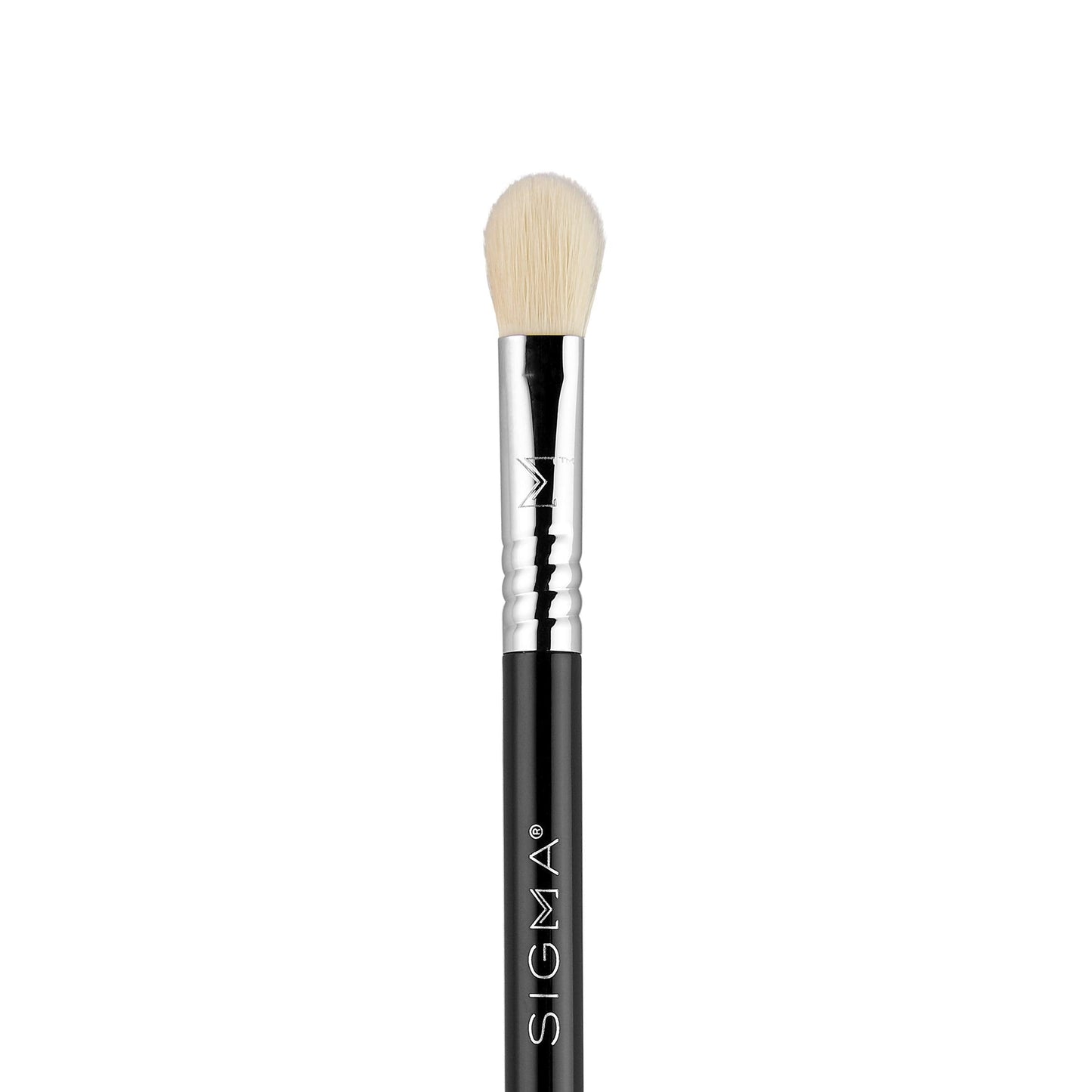 Sigma Beauty Travel Essential Trio - Makeup Brush Set for Foundation Powder Eyeshadow - 3 Tool Brushes with Brush Tin Holder - Skin Safe, Vegan Makeup Beauty & Personal Care Sigma Beauty