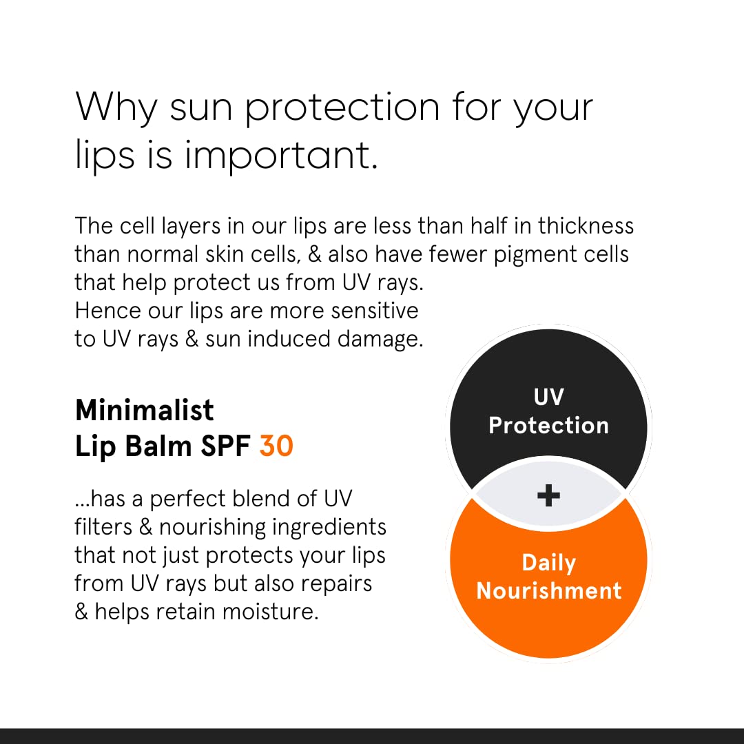 Minimalist Ceramide Lip Balm Beauty and Personal Care Minimalist
