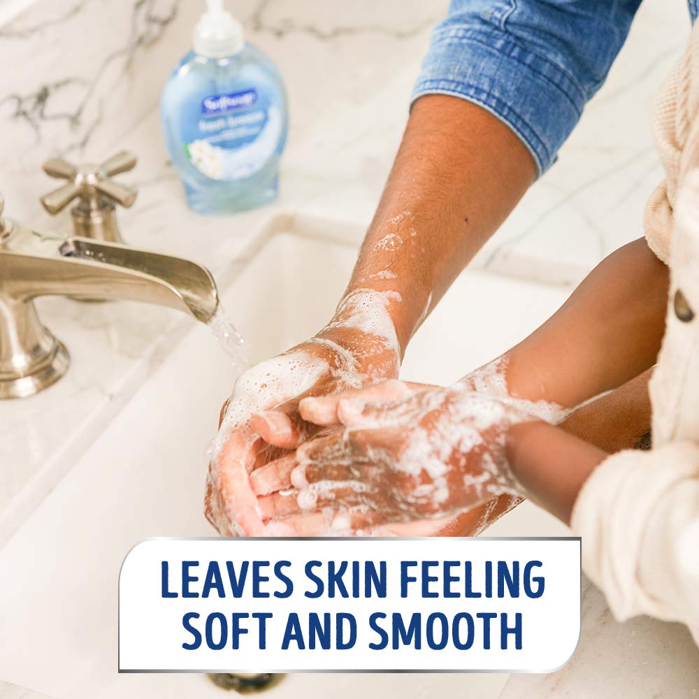 Softsoap Liquid Hand Soap, Fresh Breeze - 7.5 fluid ounce (Packaging May Vary) Beauty & Personal Care Softsoap